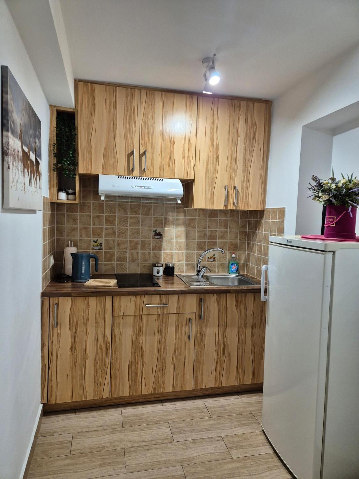 Na Polanie Apartment Krynica Zdroj